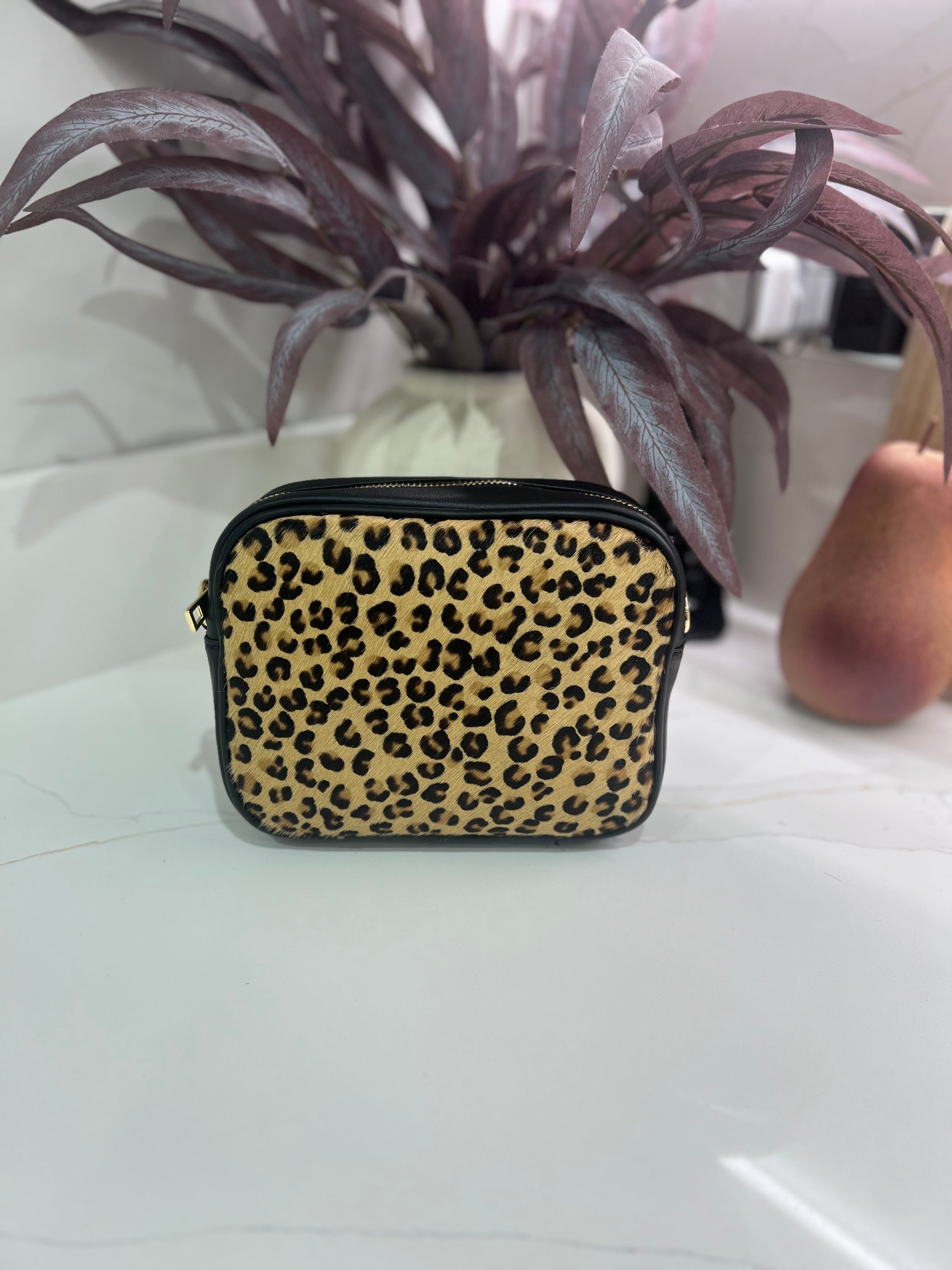 🐾 Wildhyde Premium Camera Bag