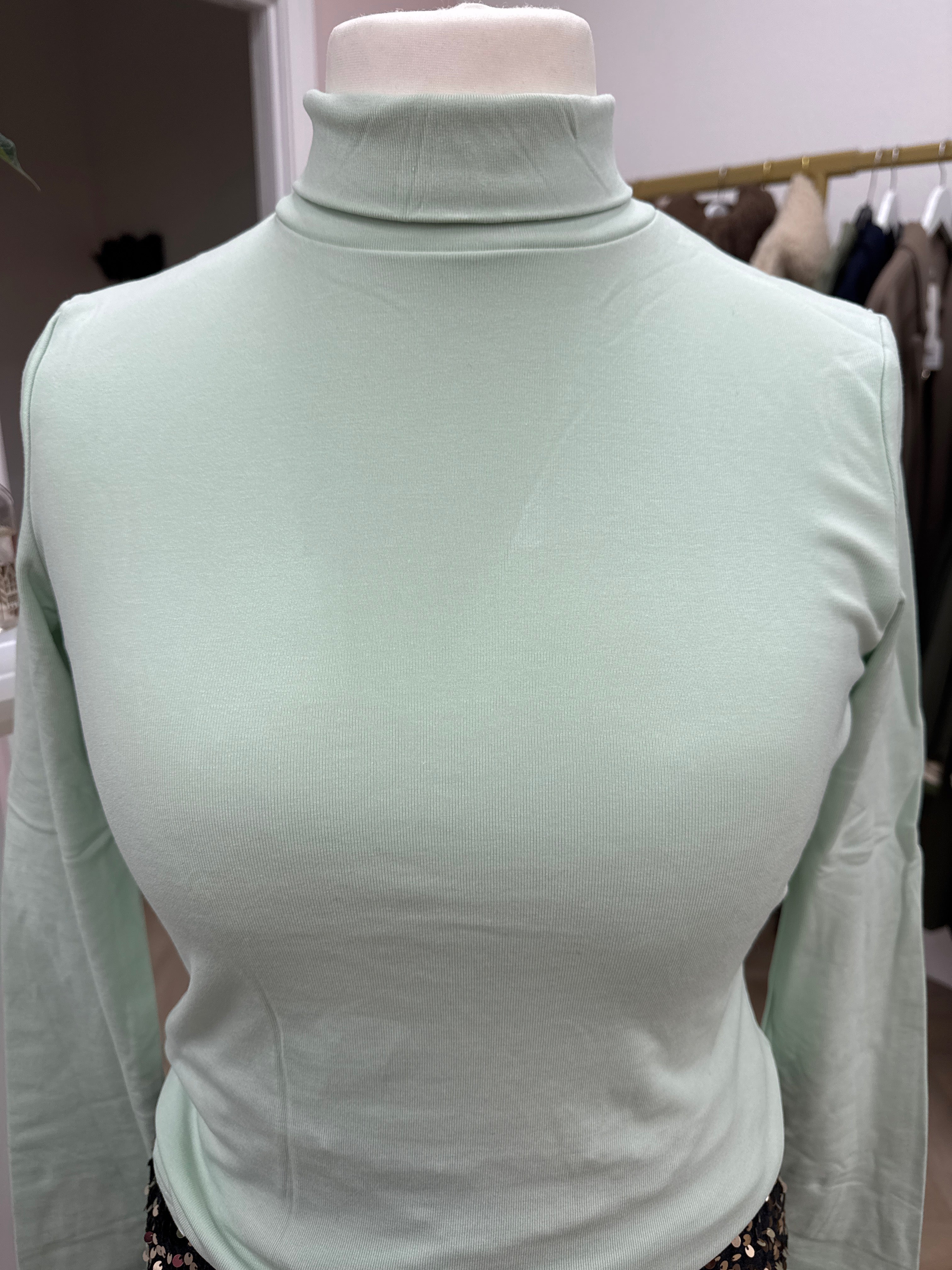 ✨ Polly High Neck Top