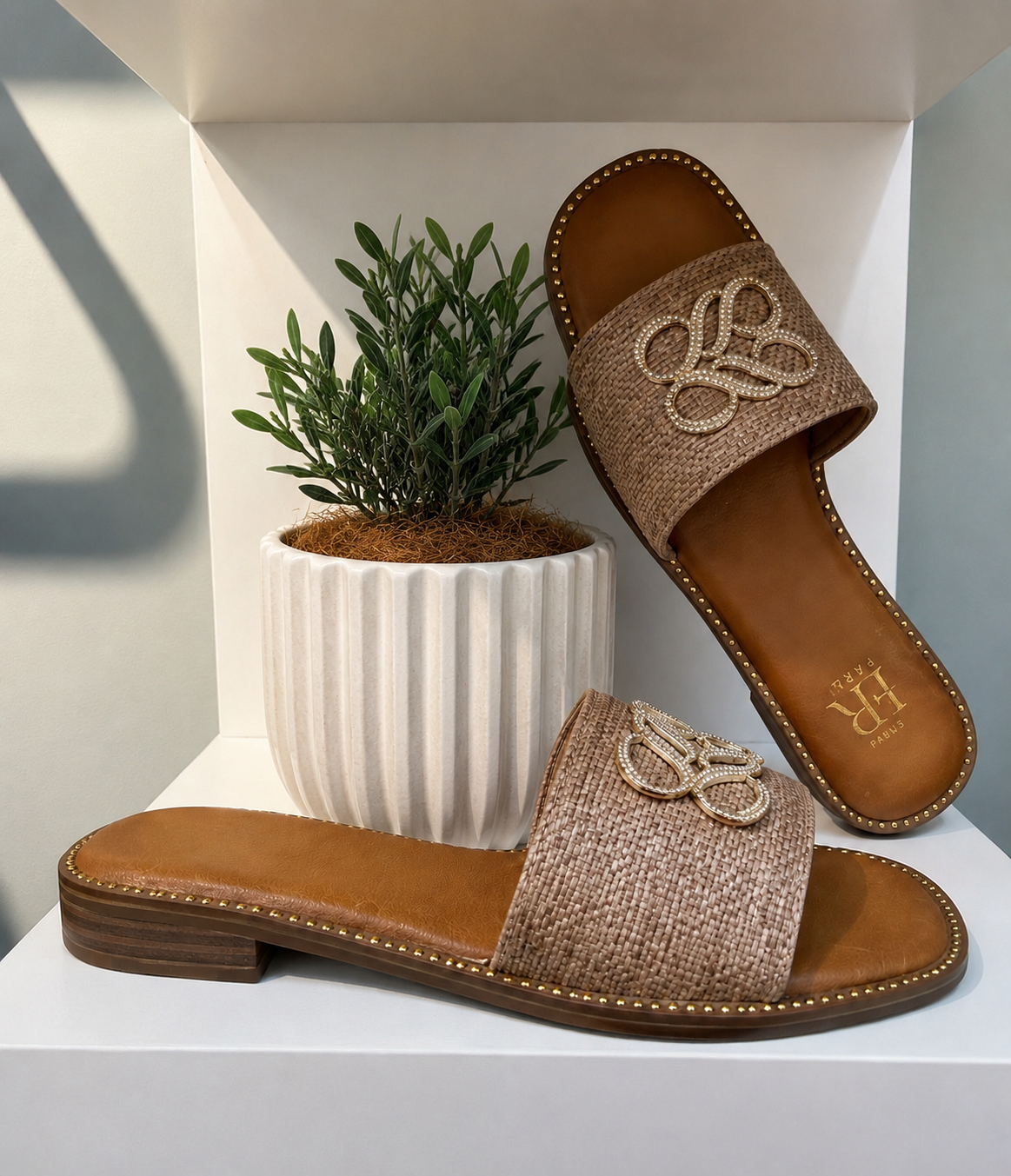 Erynn Slides