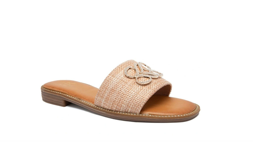 Erynn Slides