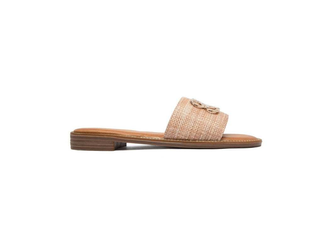 Erynn Slides