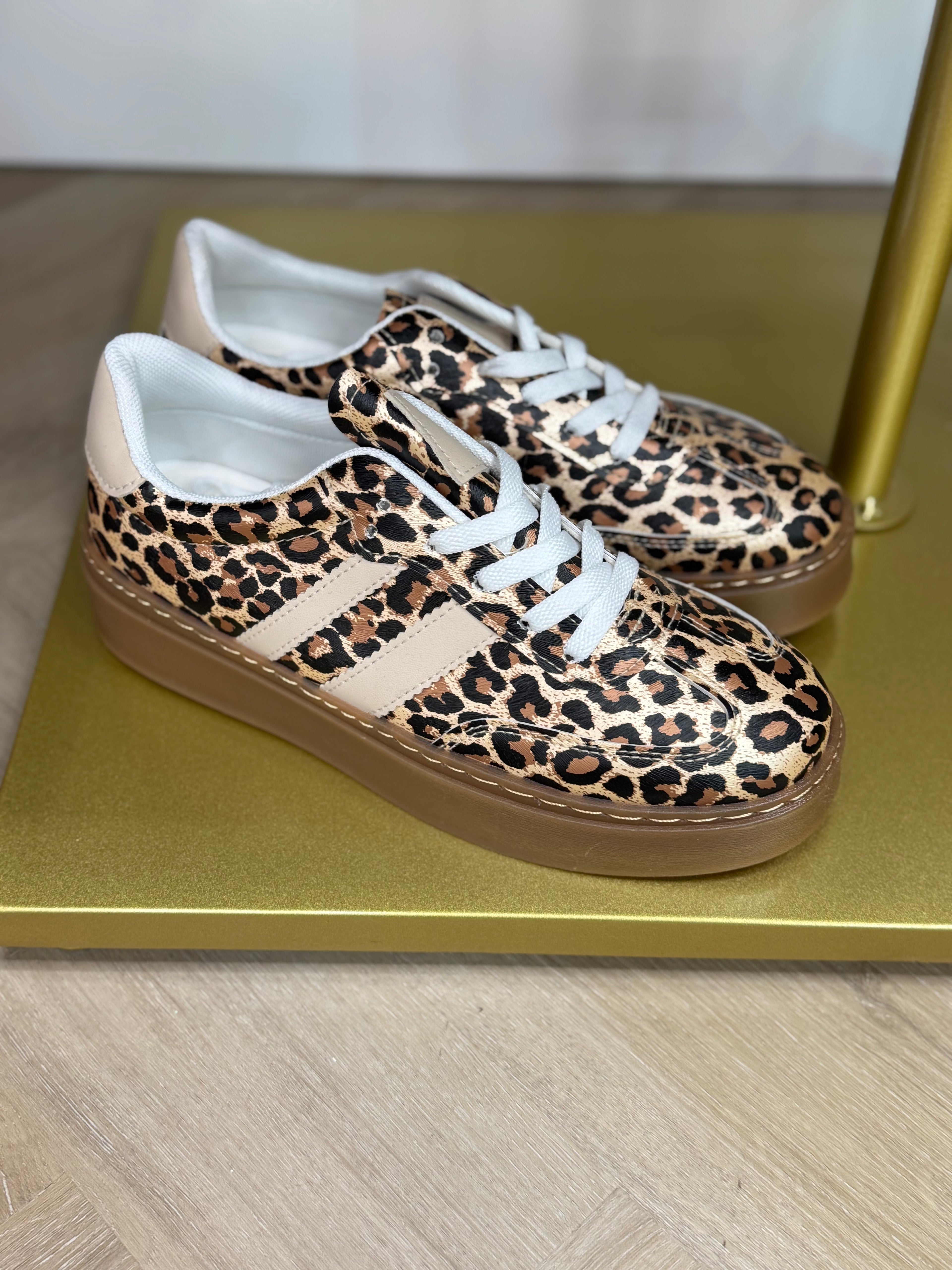 Track & Roar Trainers