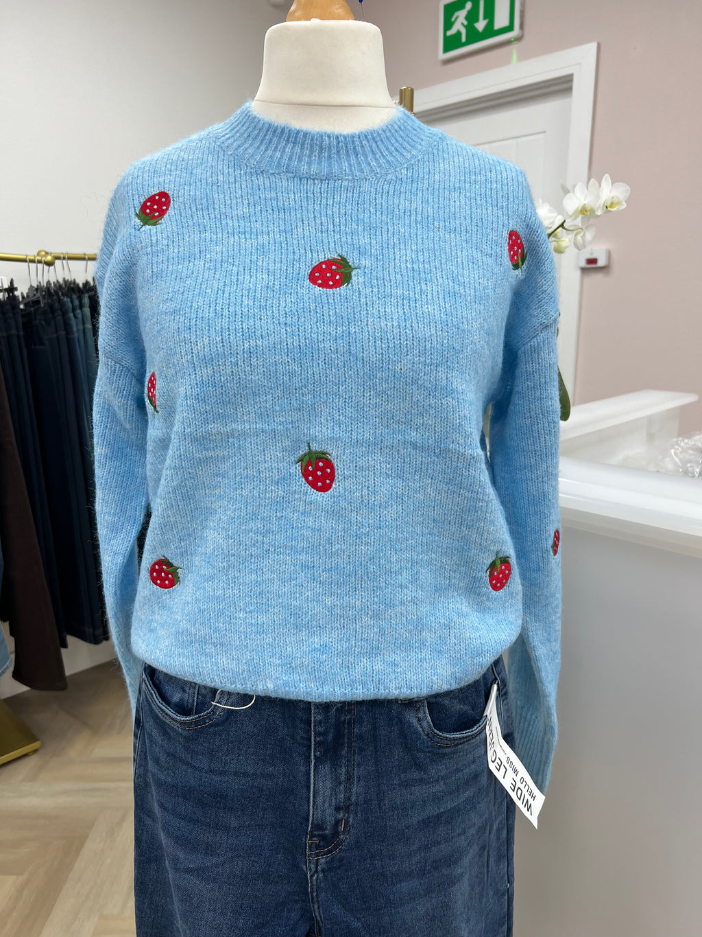 🍓Strawberry Embroidered Jumper — Blue