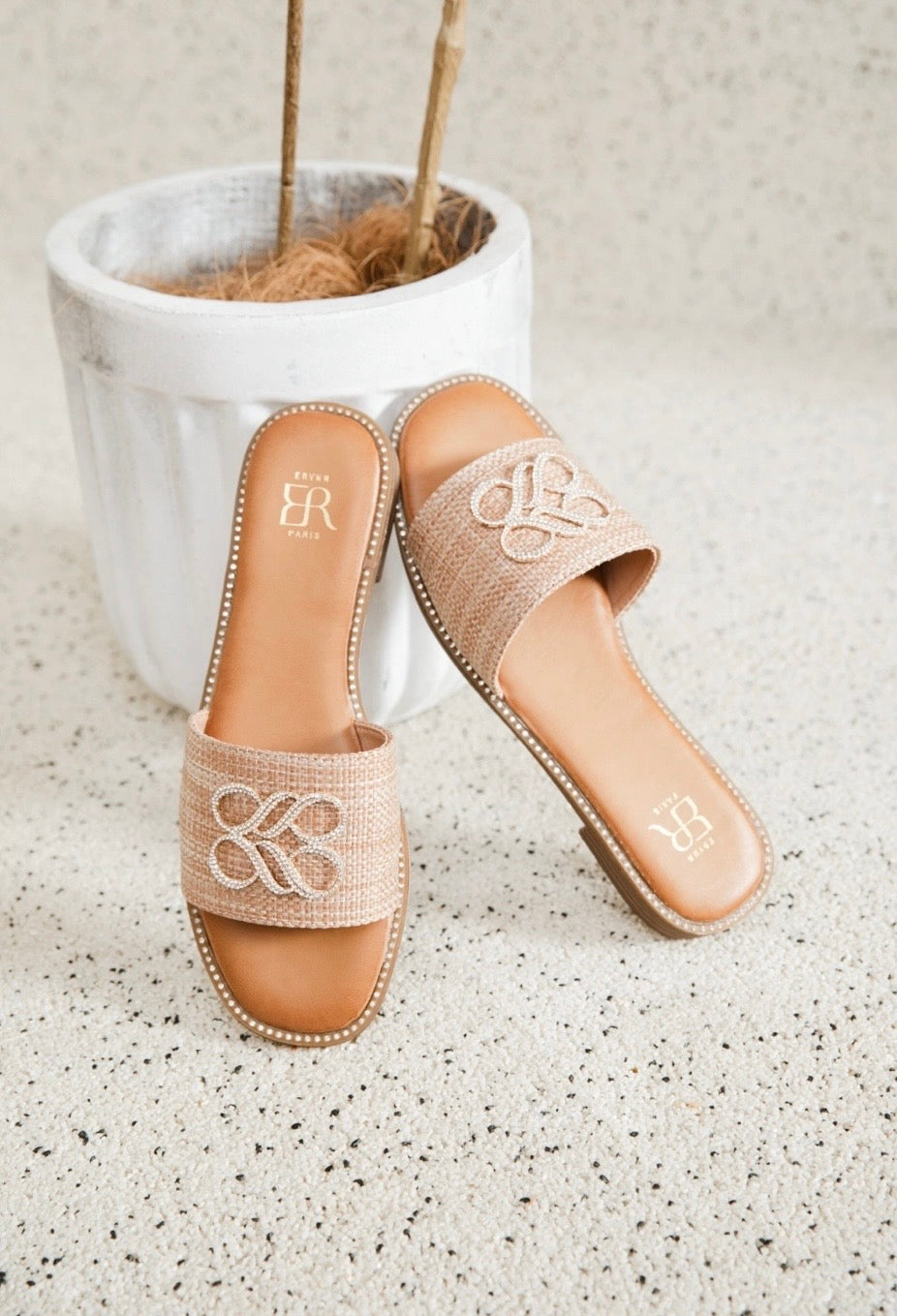 Erynn Slides