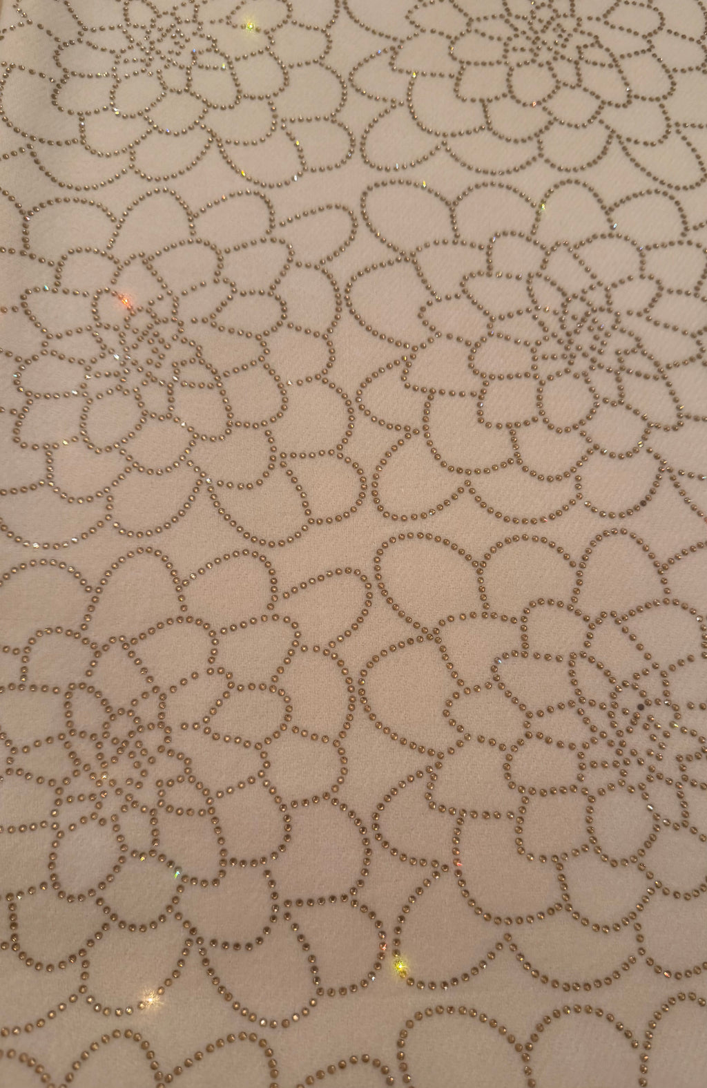 Dahlia Embellished Cashmere Feel Scarf