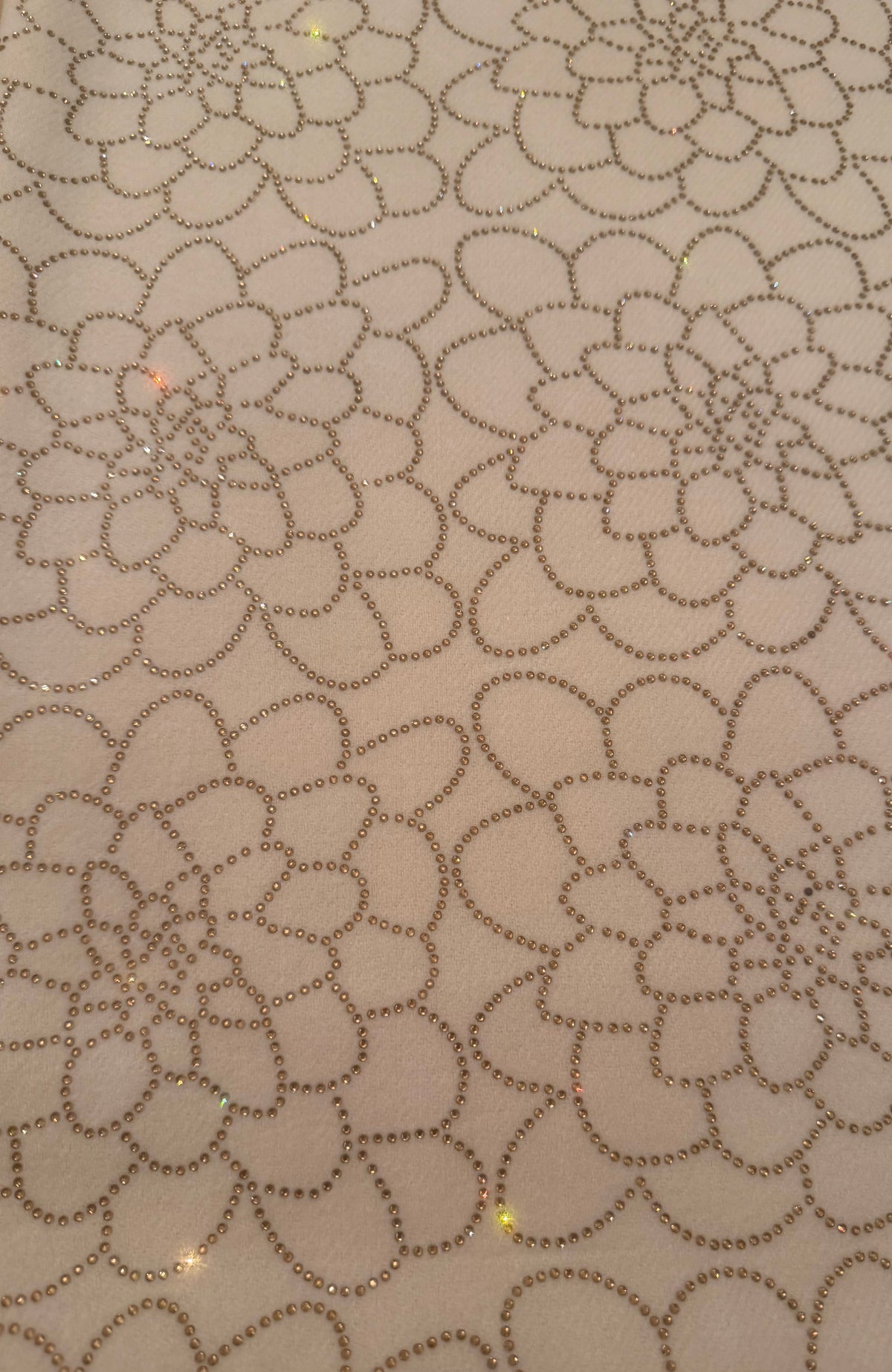 Dahlia Embellished Cashmere Feel Scarf